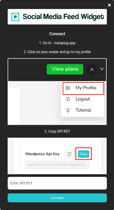 Social Media Feed Widget - Screenshot 1