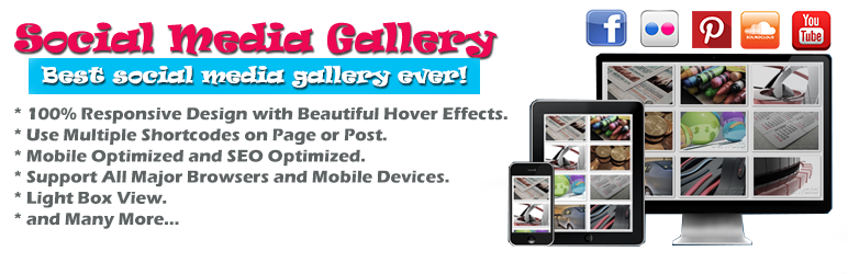 social-media-gallery
