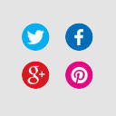 Social Media Widget Icon