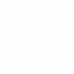 Software License Lite for WooCommerce logo