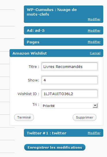 The widget options
