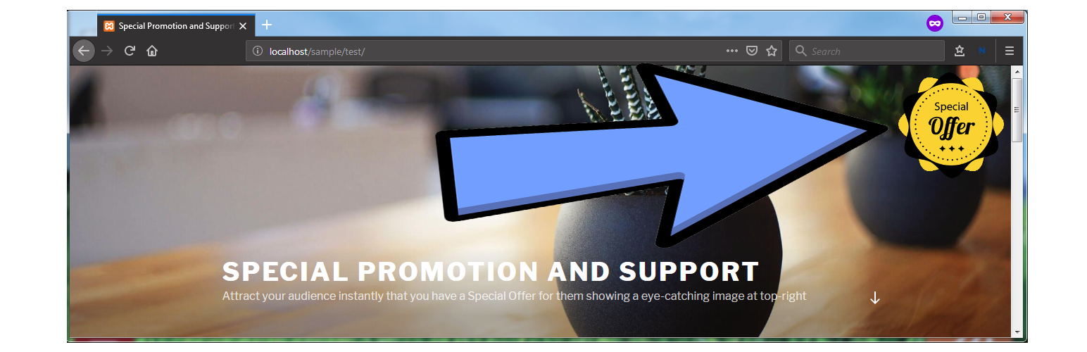 Special Promotion and Support