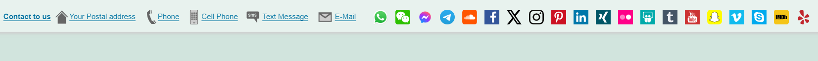 The contact bar with all possible icons at the top of a page