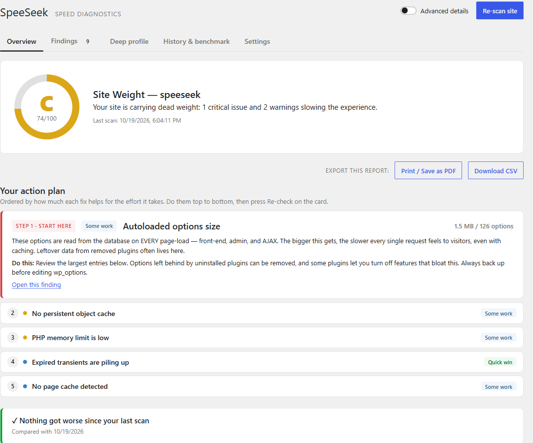 Overview: the Site Weight grade and a ranked action plan — step 1 expanded with exactly what to do, the next fixes tagged by effort (quick win, some work, needs a host or developer).