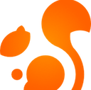 Squirrel Links