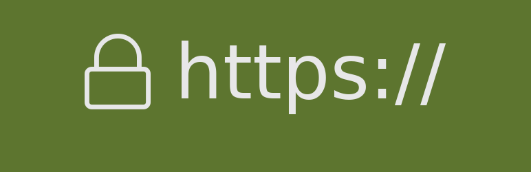 ssl-insecure-content-fixer