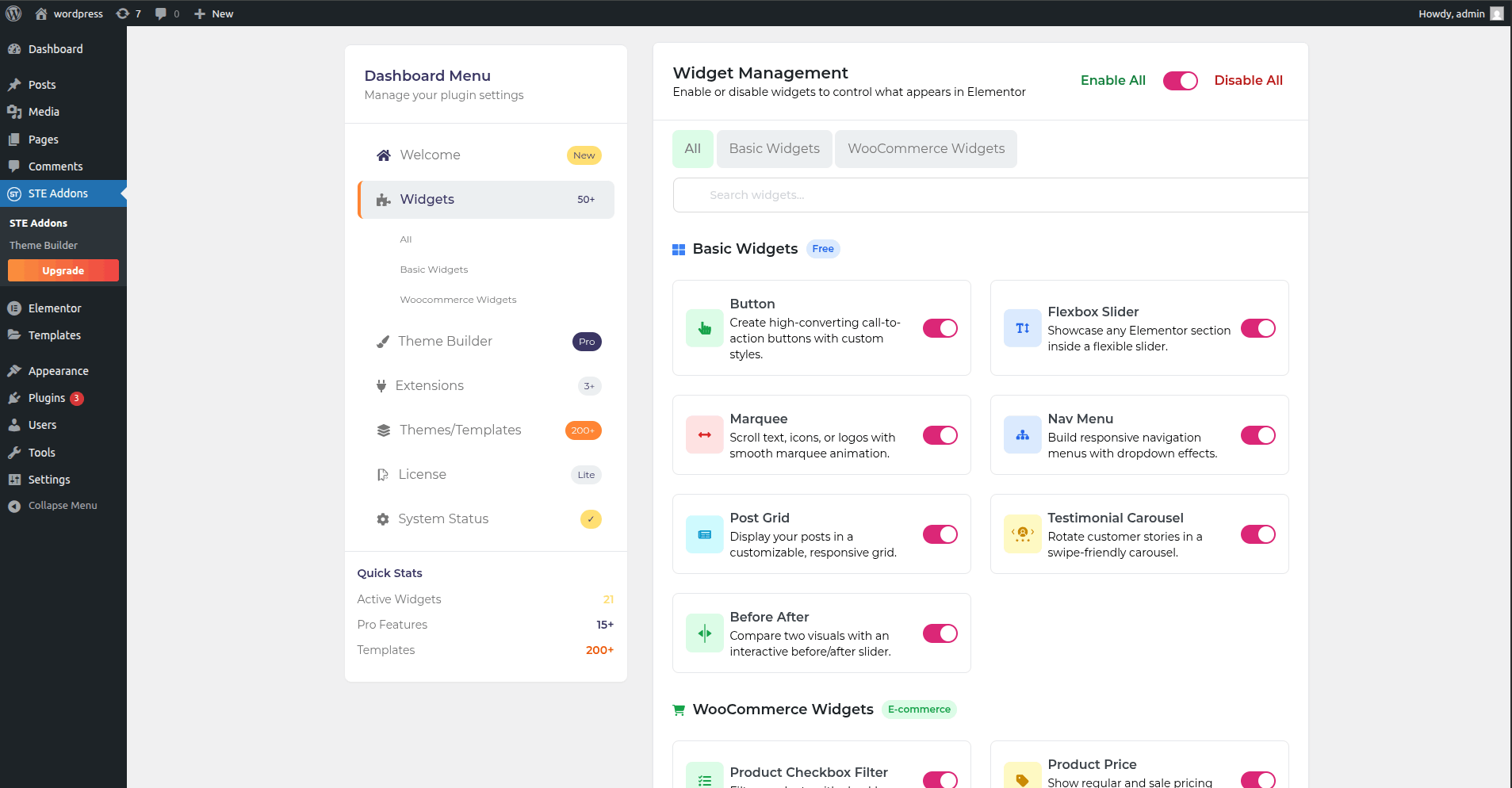 Customization options for the button widget.