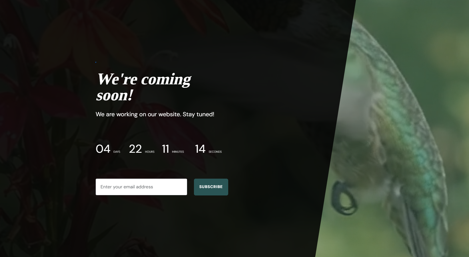 Minimal Layout Design