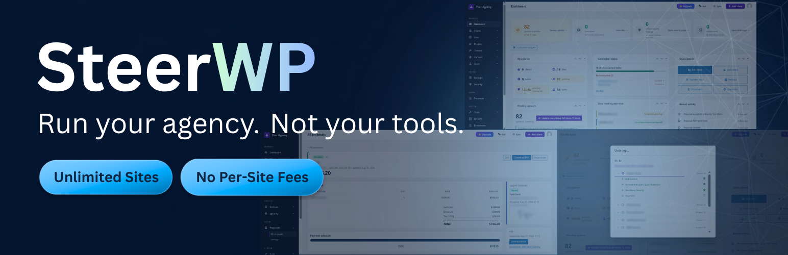 SteerWP Console