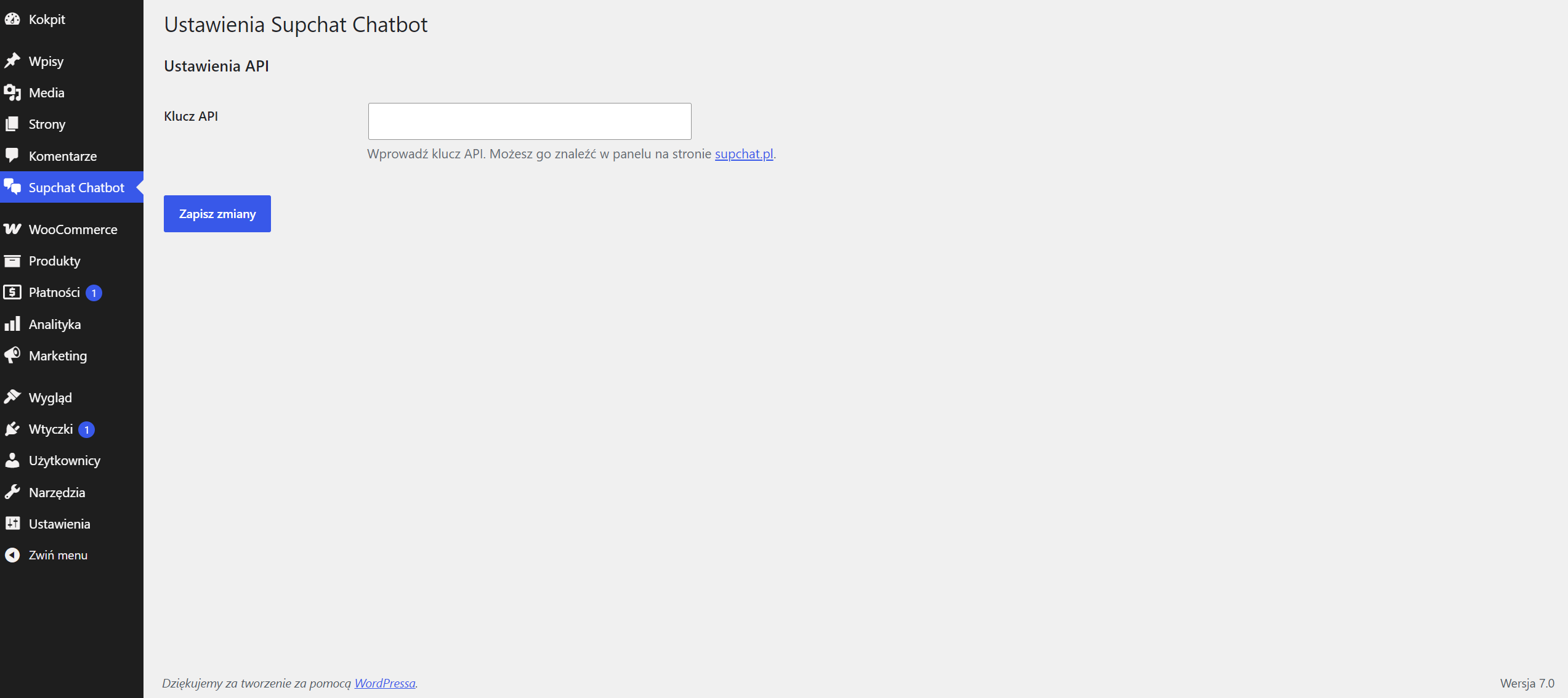 Plugin settings page - simply paste your API key and save.