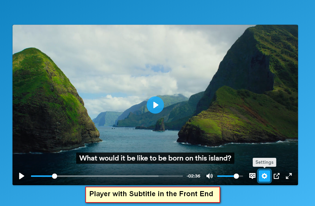 Super Video Player- Best WordPress Video Display Plugin for mp4/OGG