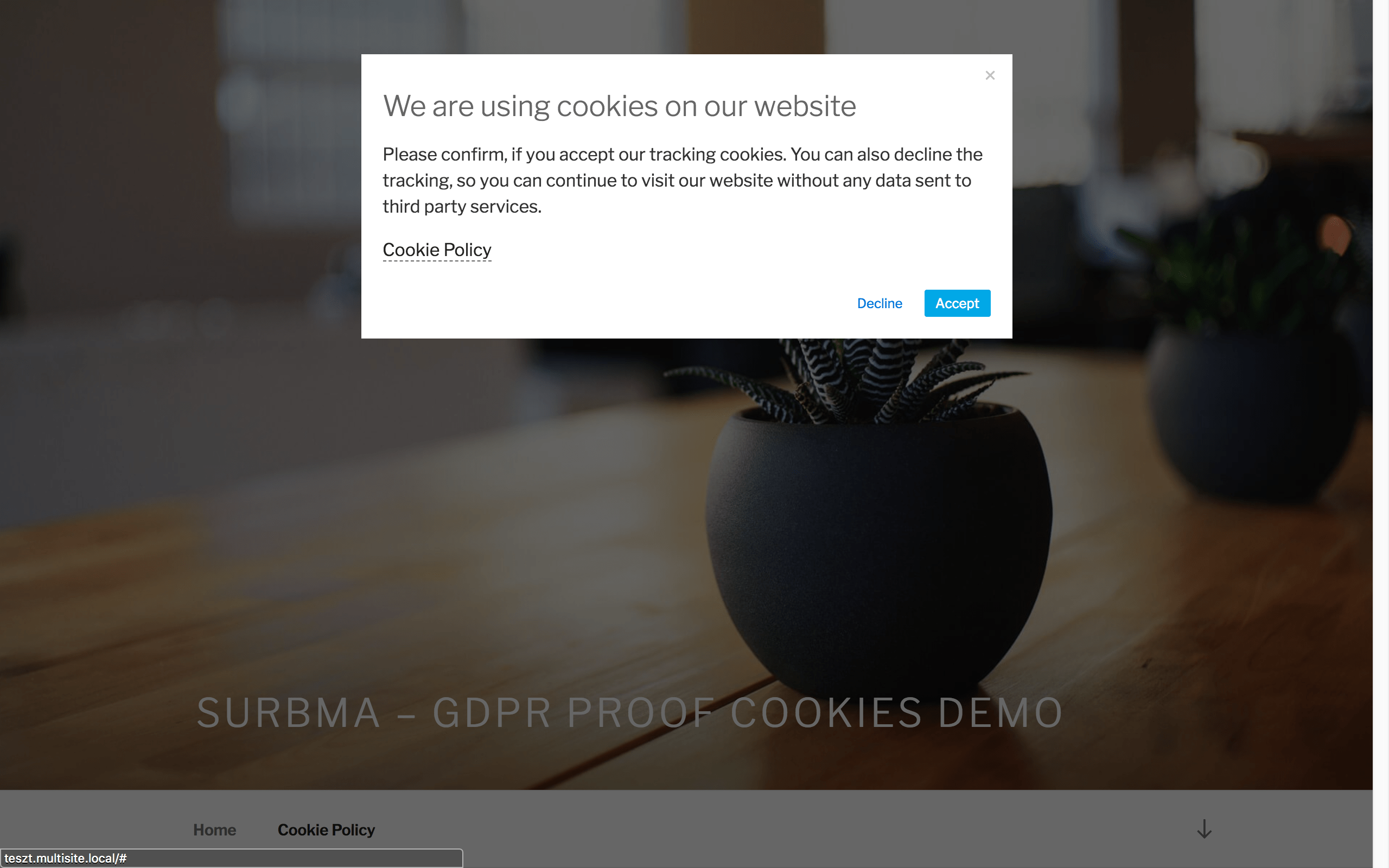 Cookie Popup in front-end