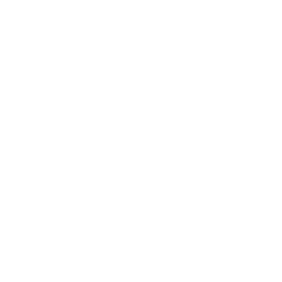 Plugin Report Icon