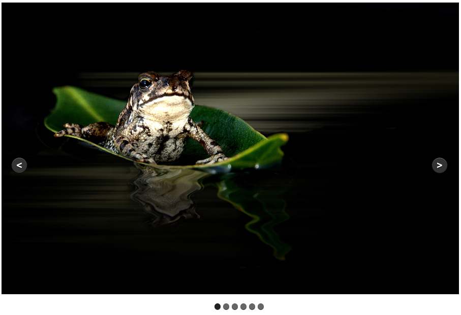 Default styling with pagination and controls enabled.