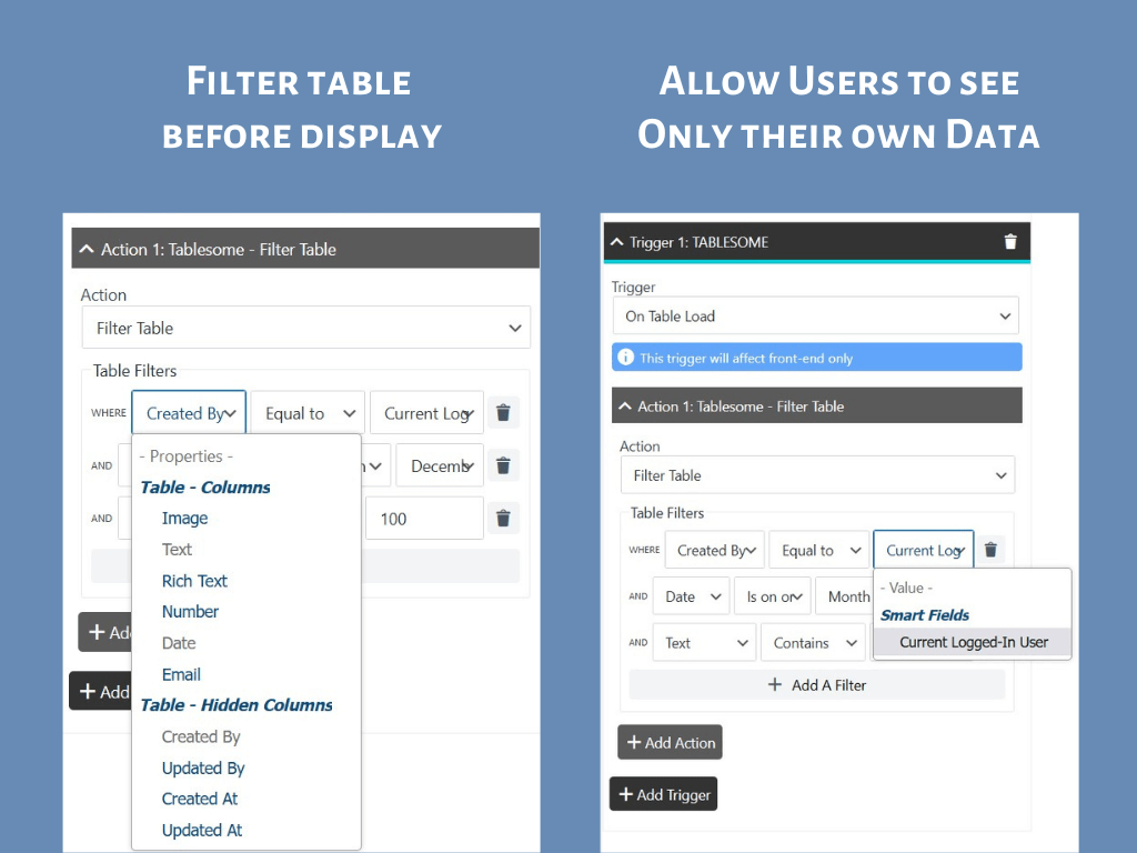 Filter table before display and Show user-specific data (PRO)