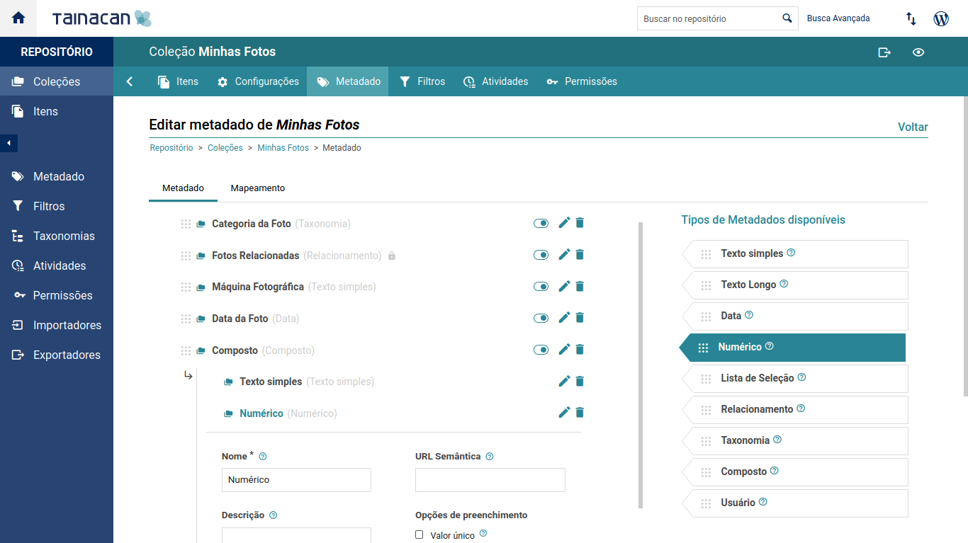 Escolha os metadados e filtros para sua coleção