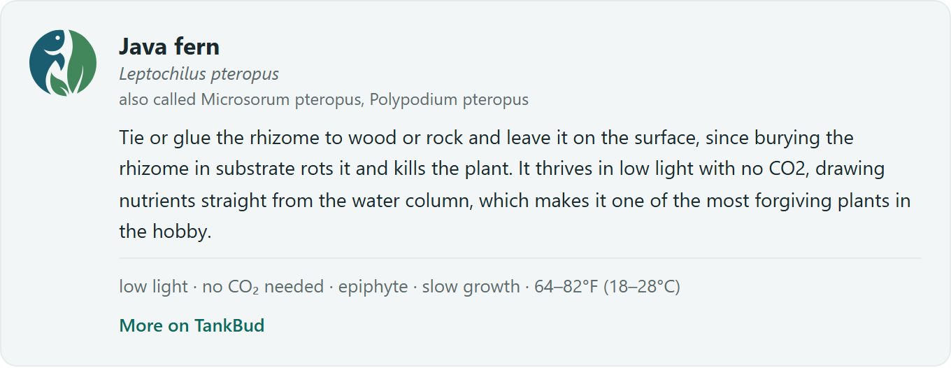 A species card with the blurb, quick facts, and the link to the full care guide.