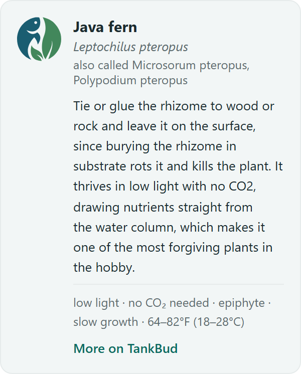 The card at sidebar width; it adapts to wherever you place it.