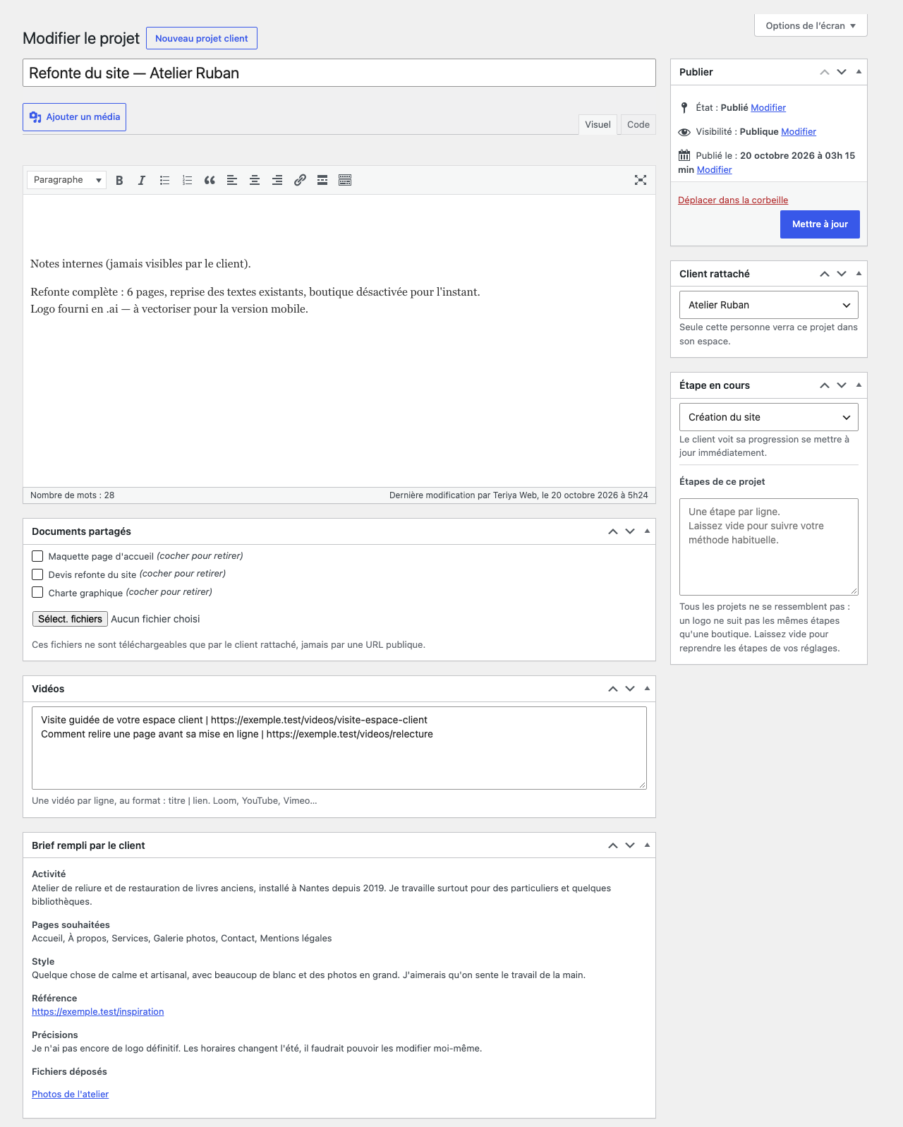 The project screen on the admin side, including the brief the client sent