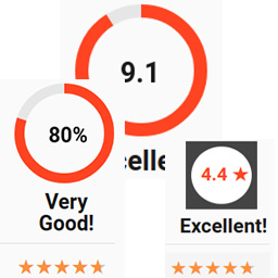 Themepacific WordPress Review Lite logo