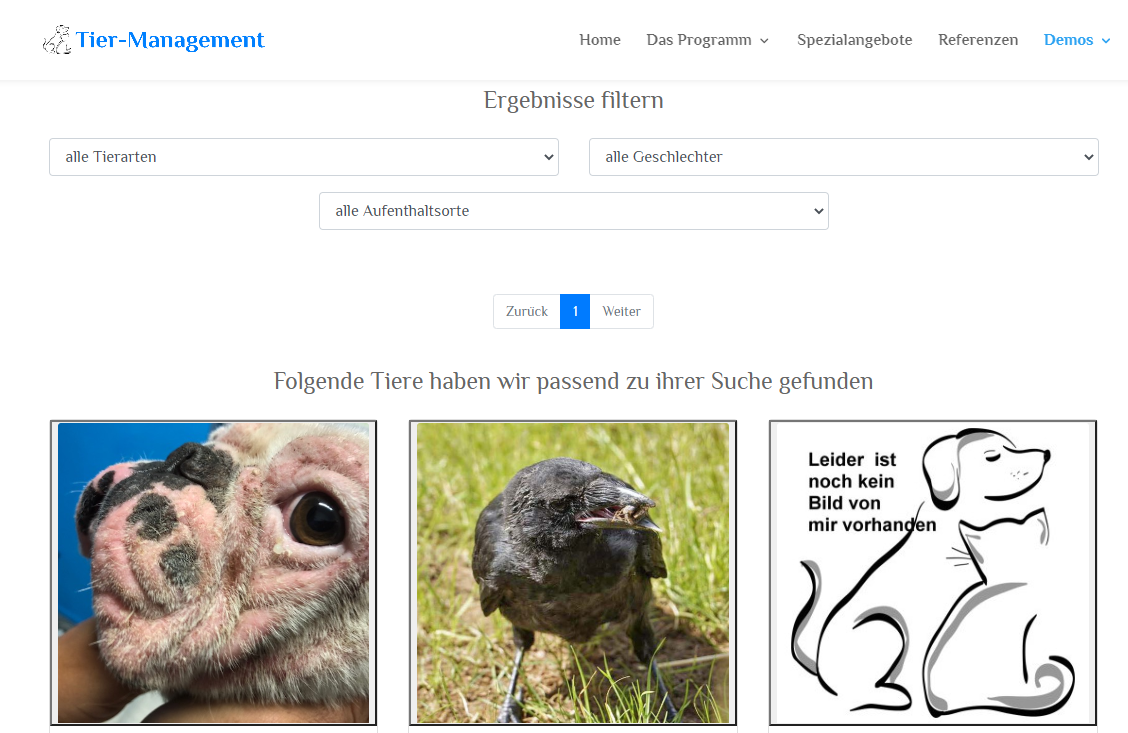 Anzeige der Listen