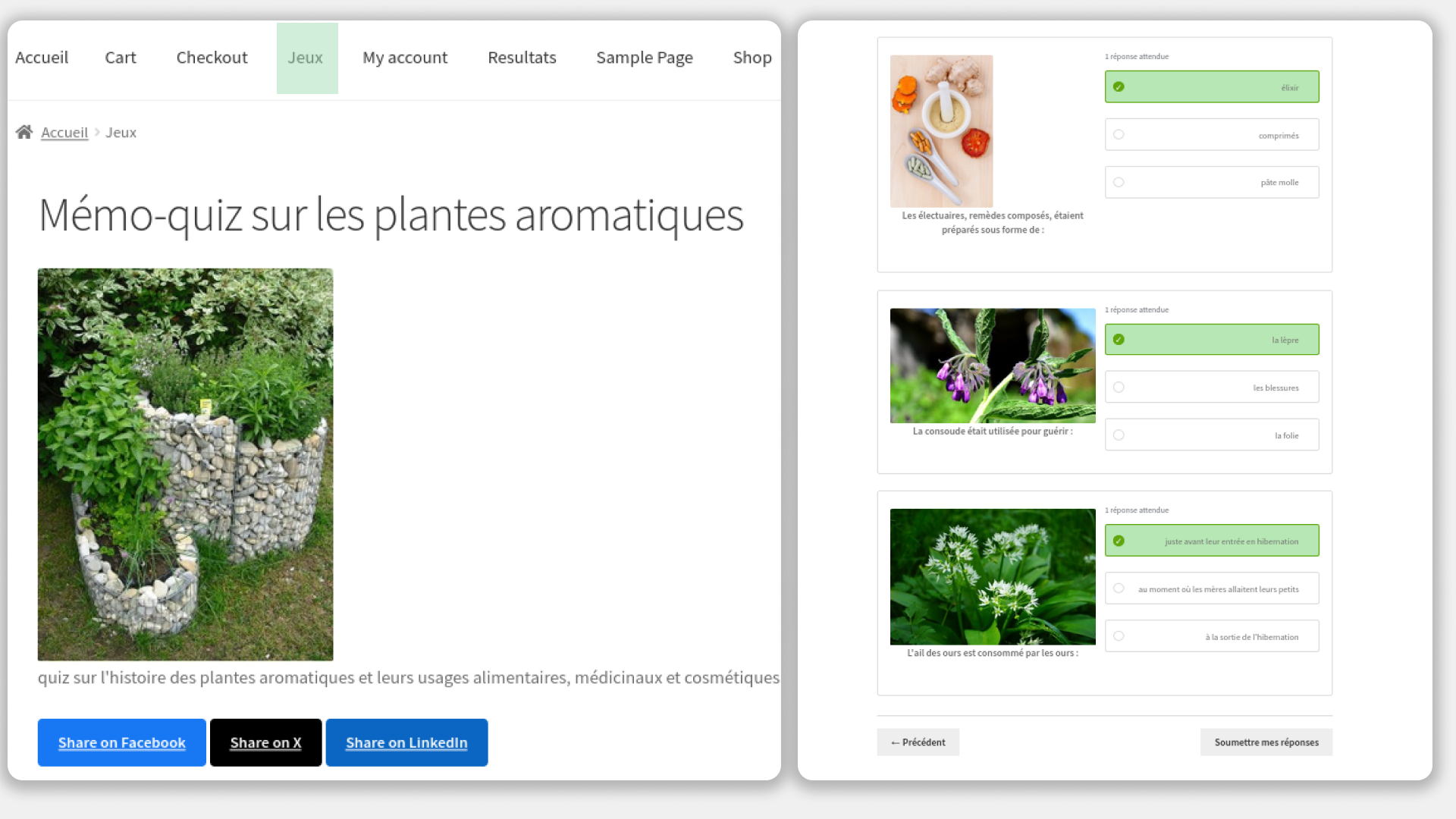 Front end — Quiz in progress: questions with images and radio answer choices