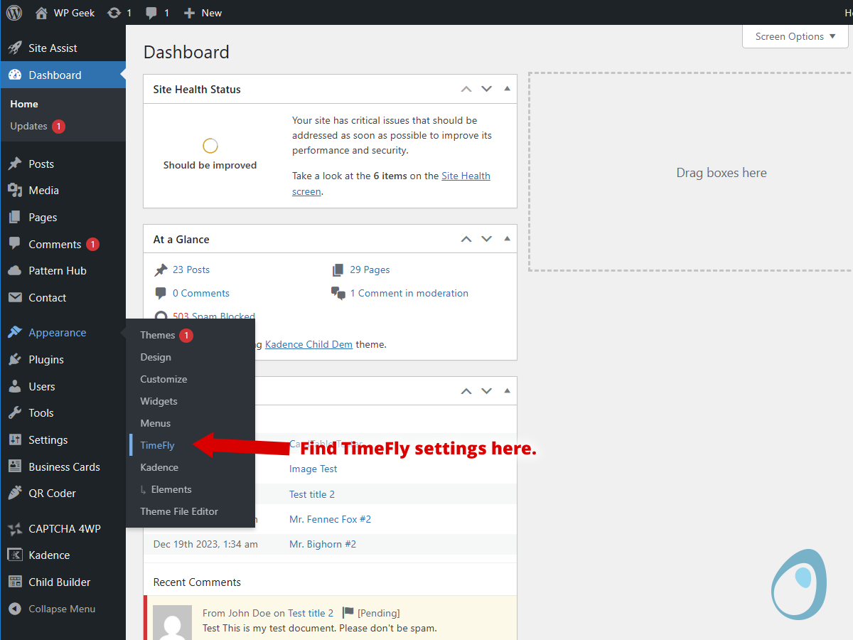 Timefly is available from the Appearance submenu