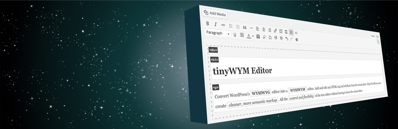 tinyWYM Editor