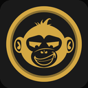 Talking Monkey Insights