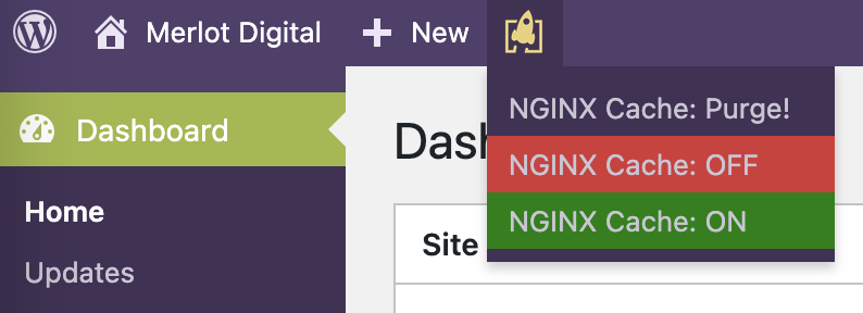 Top Menu Bar options for NGINX Caching.