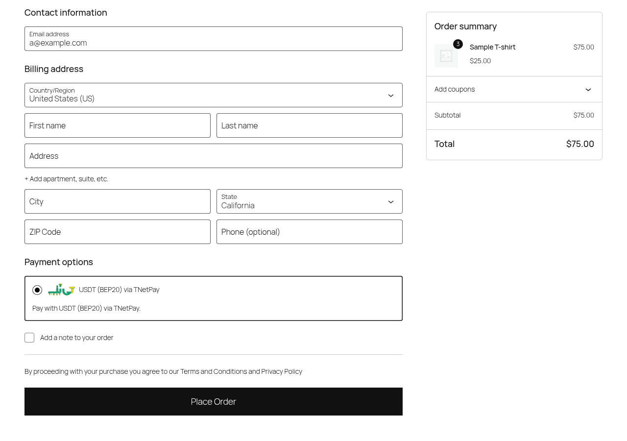 "Pay with USDT (BEP20)" option at the block-based checkout.