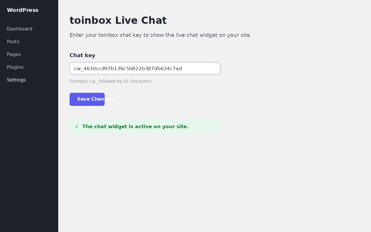 The plugin settings page — paste your chat key and save.
