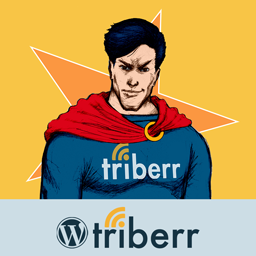 Triberr logo