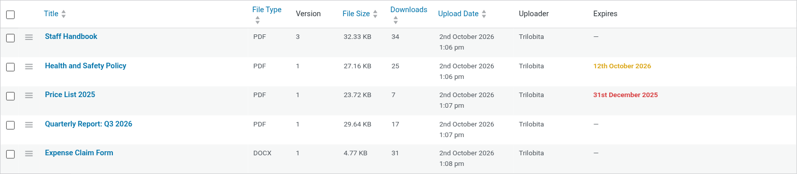 Admin document list with file type, version, size, downloads and expiry date.