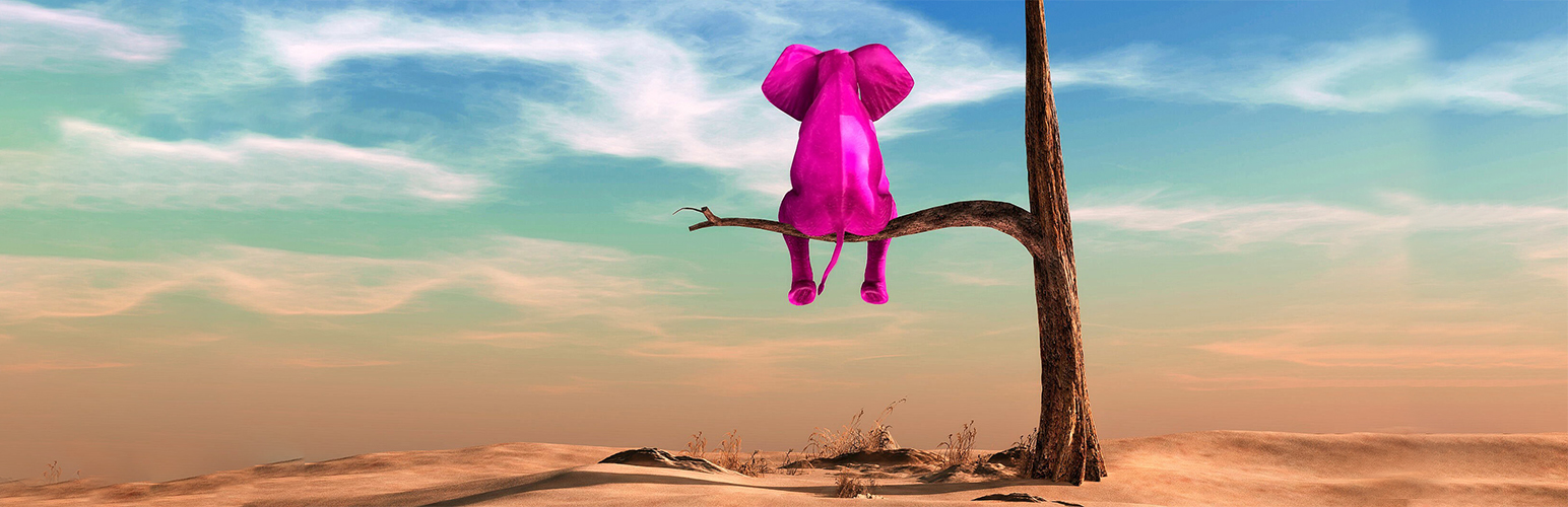 Trusty Whistleblowing Solution