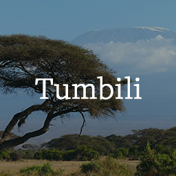 Tumbili: Mailchimp Signup for Gutenberg logo