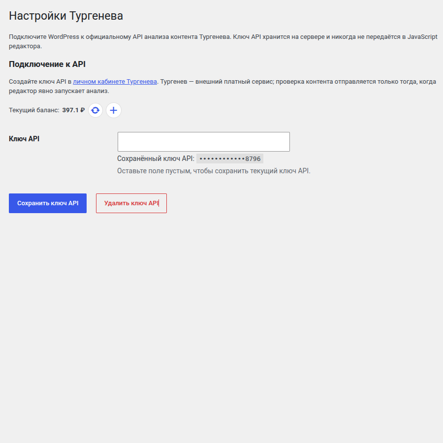 Settings → Turgenev — secure API-key configuration, masked saved-key indicator, current account balance and balance refresh.