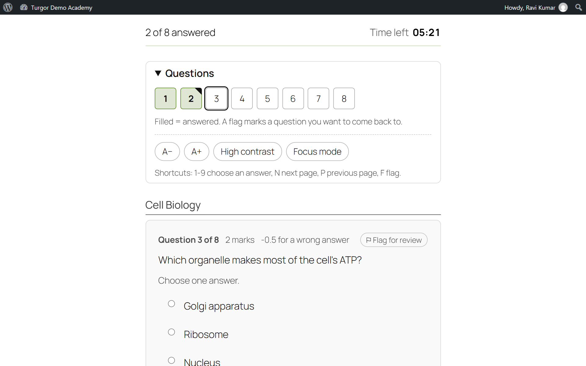 The quiz player: sections, timer and question palette.