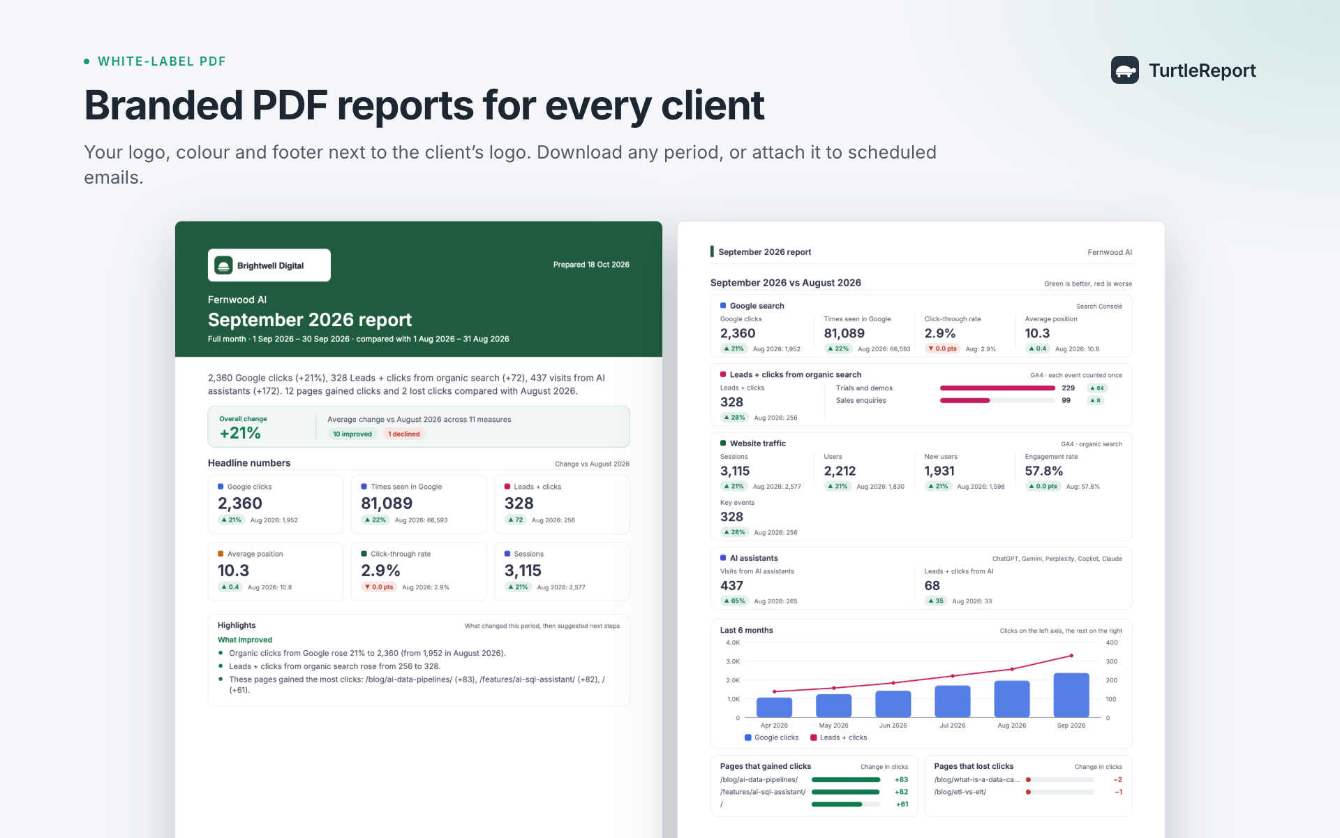 A white-labelled PDF report.