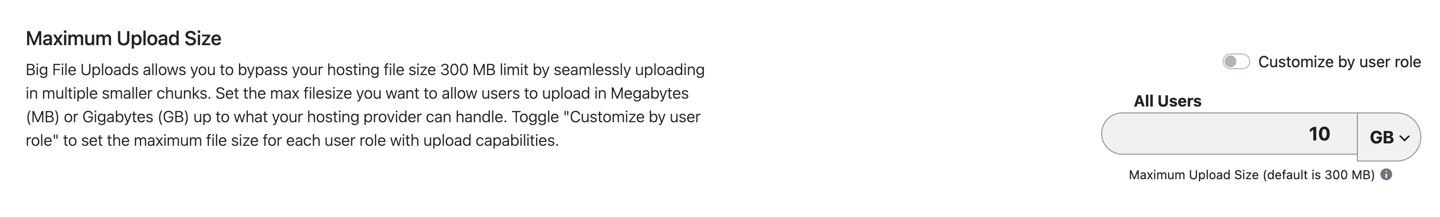 Big File Uploads – Increase Maximum File Upload Size