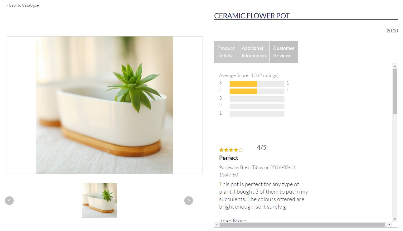 The reviews tab for the