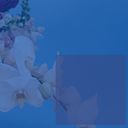 Ultimate Watermark – Advanced Image Watermarking