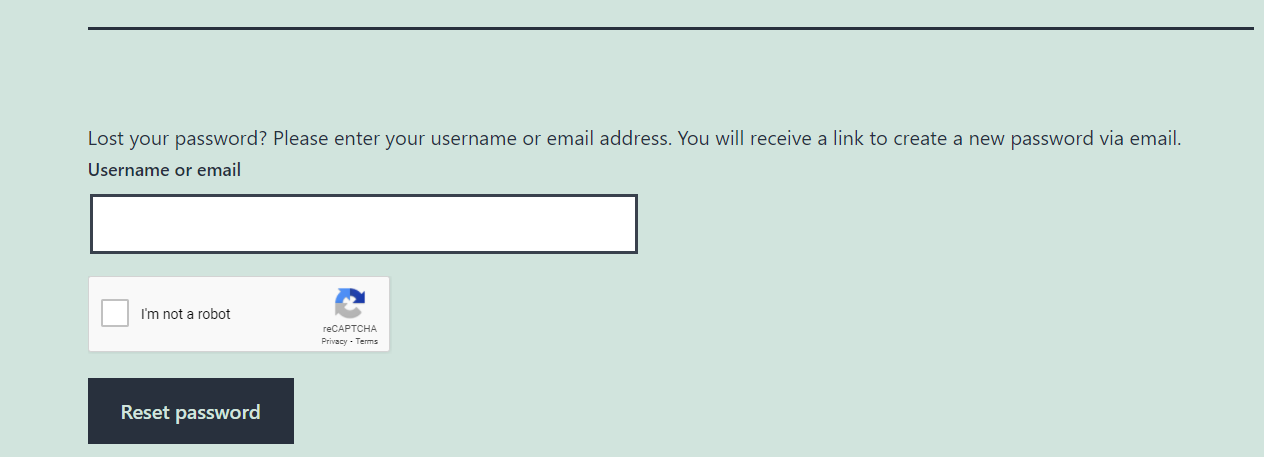 Lost password form with reCaptcha.