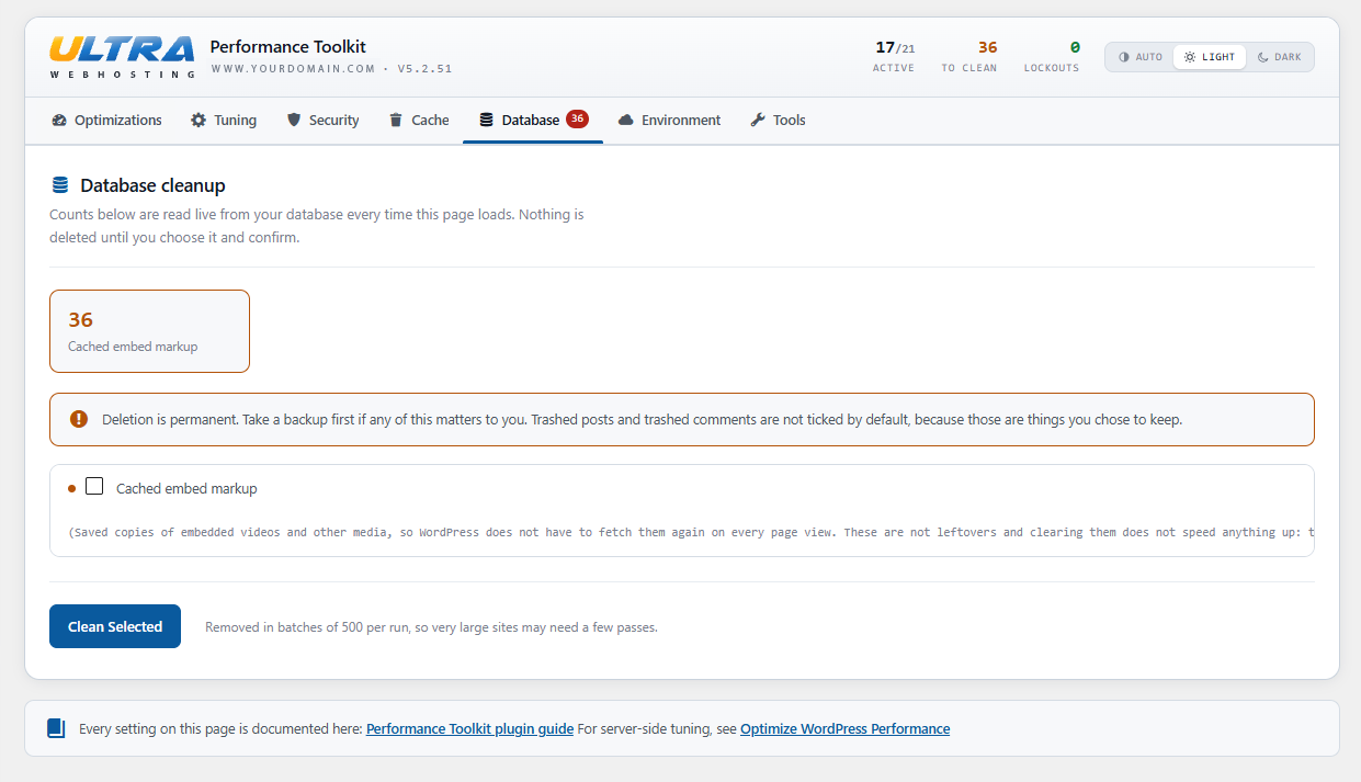 The Database tab, with live counts of what can be cleaned up.