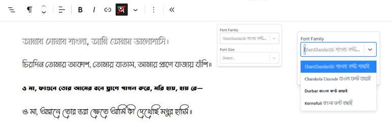 Use Bangla Fonts