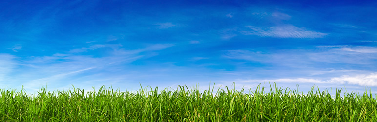 User Admin Simplifier