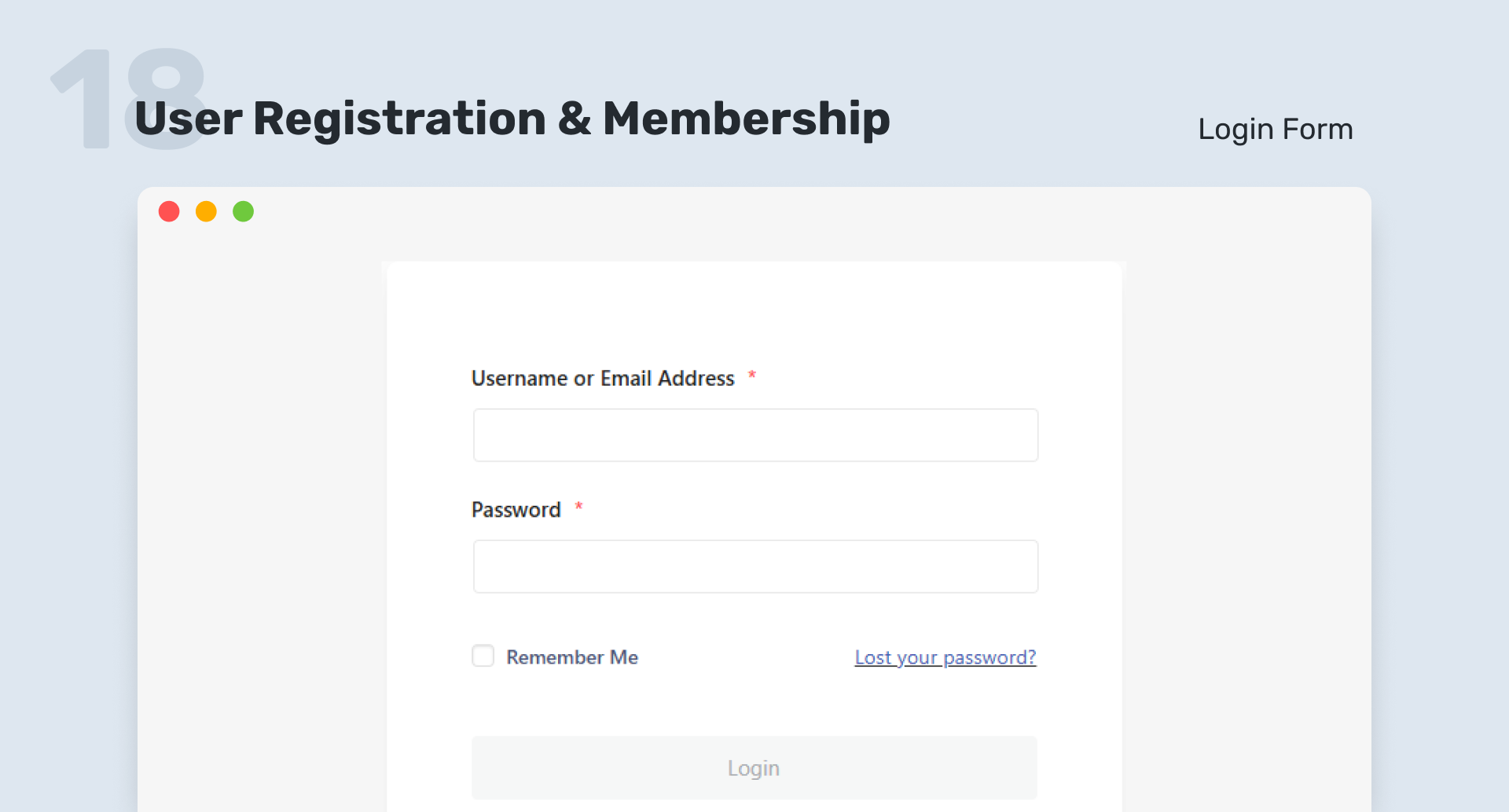 Login Form