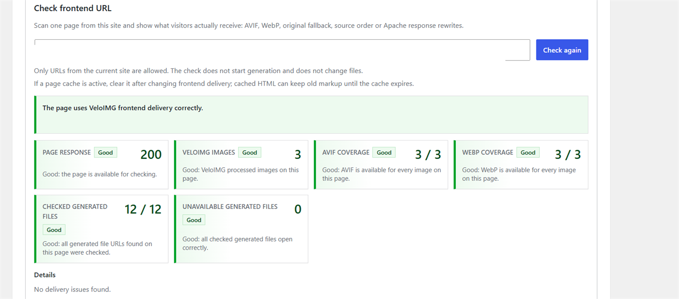 Frontend delivery check showing page response, format coverage, derivative URLs, and unavailable files.