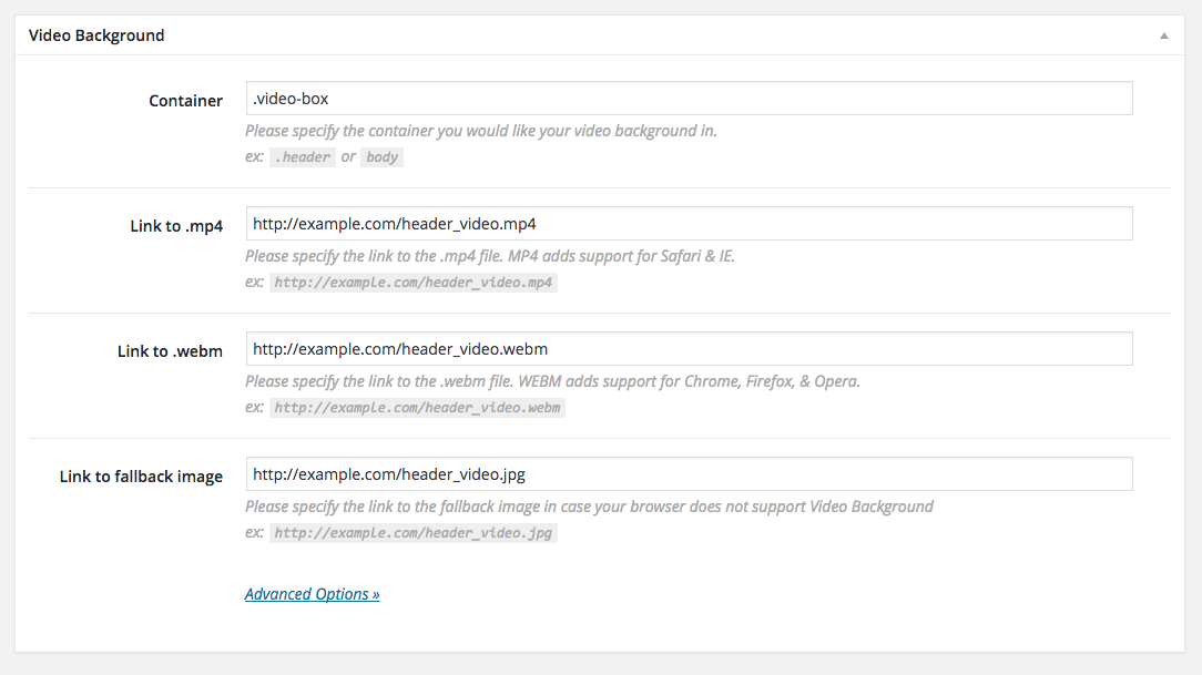 <p>4 fields? That’s it? Yep, simply enter in the element you’d like the video background to be in and key in the paths to the video and fallback image. Awesome.</p>