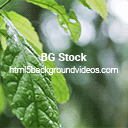 BG Stock, theeighth